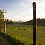 Imagem-1-de-7-de-Arame-Liso-Z-700-Belgo---Arame-Ovalado-®--500m-