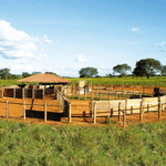 Imagem-2-de-4-de-Cordoalha-de-Aco-Galvanizado-7-Fios-|-Cordaco-Belgo®--250m-