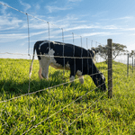 Imagem-3-de-7-de-Cerca-Pronta-Tela-Belgo-Bovino-®--50m-