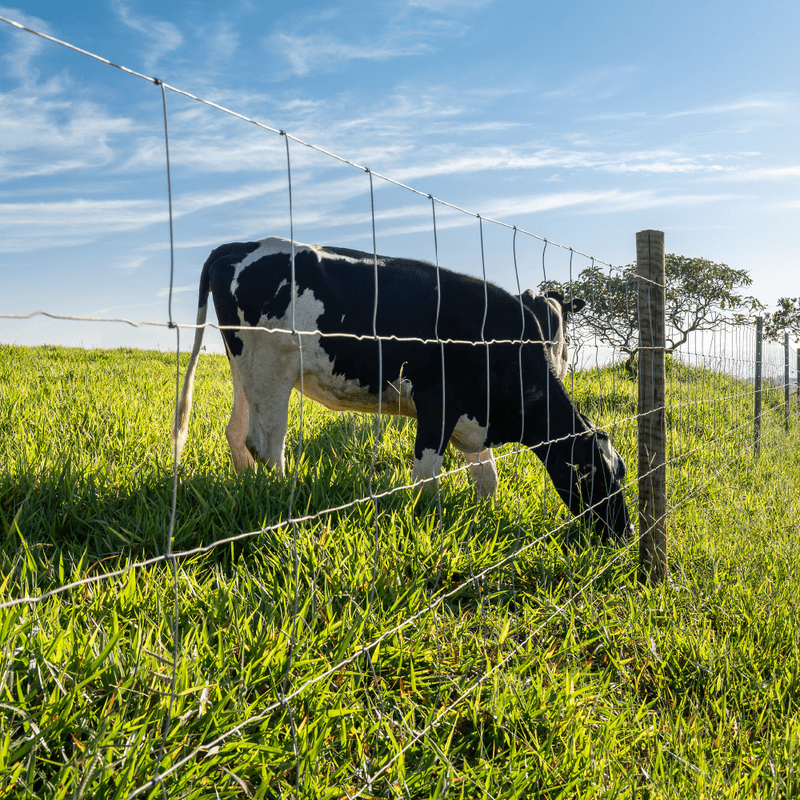 Imagem 3 de 7 de Cerca Pronta Tela Belgo Bovino ® (50m)