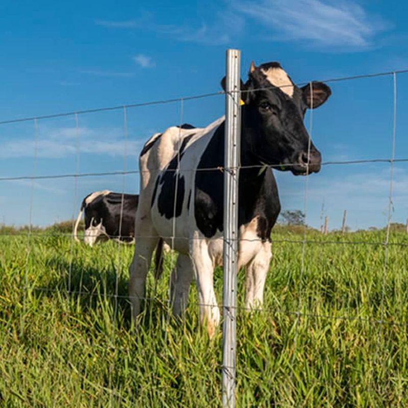 Imagem 5 de 6 de Poste Para Cerca Rural Belgo Aço Zincado 2,20 m ® Pacote Com 6 Unid