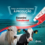 image-9cba75cf30934edb8ac693c562609abd