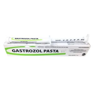 Gastrozol – pasta oral para equinos – 12g