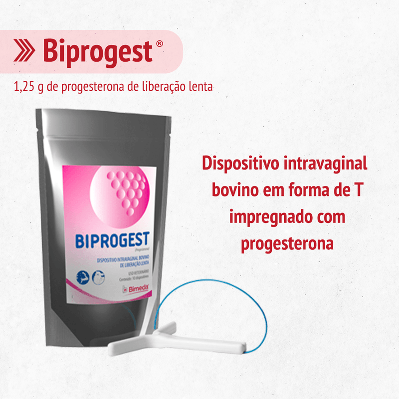 image-4e5bac531dff458a8f2aeefb8d4067a4