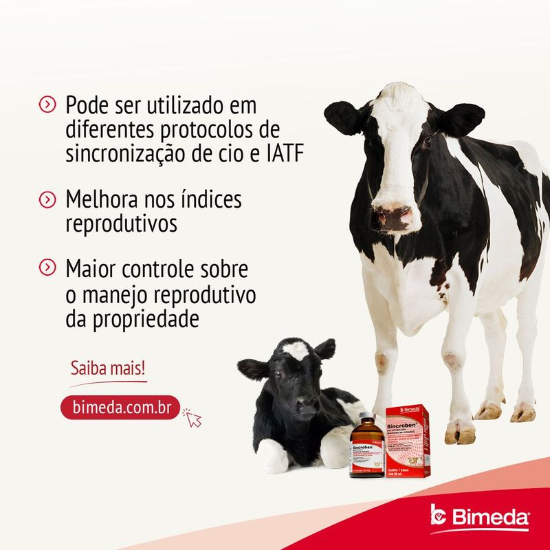 image-feb60da8af4d42e6a287b5797a9bb1be