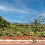 TELA-BELGO-STRADA-140M-12-FIOS-50-M-05