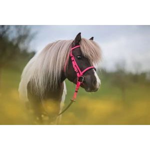 CABEÇADA PARA CAVALOS EM PVC COR  Lilas/rosa SWISSHORSESSHOP