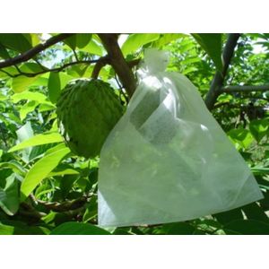 Saco para Proteção de Frutos DB Frutas 15x25cm c/ 1.250 unidades