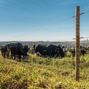ARAME PARA CERCA ELÉTRICA BELGO ELETRIX® 500M